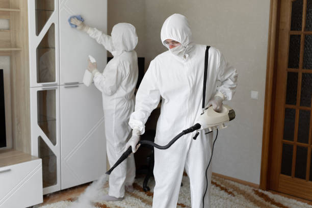 Asbestos and Lead Testing During Mold Inspection in Needles, CA